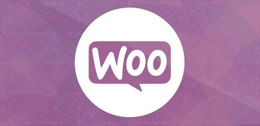 woocommerce-seo